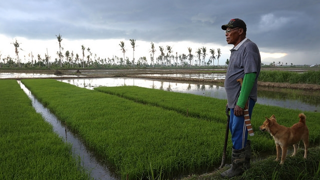 Philippines: Hope in a Garden